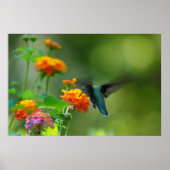 サマー・ハマー ポスター (正面)