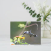 サマー ハンマー ポストカード (スタンド正面)