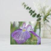 サマーSCスワンレイクのアイリス ポストカード (スタンド正面)