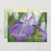 サマーSCスワンレイクのアイリス ポストカード (正面/裏面)