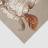 サミュエル・コルマン |牛の勉強2頭 – 1876年 薄葉紙 (詳細)