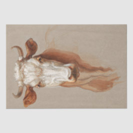 サミュエル・コルマン |牛の勉強2頭 – 1876年 薄葉紙