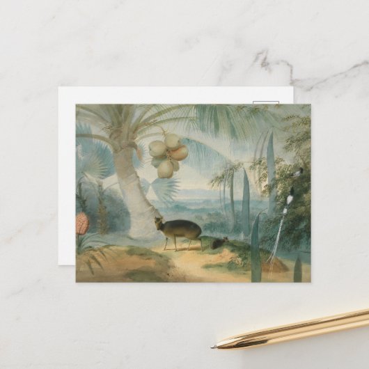 サミュエル・ダニエルによるセイロンの風景 ポストカード (正面/裏面インサイチュ)