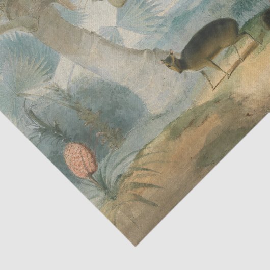 サミュエル・ダニエルによるセイロンの風景 薄葉紙 (詳細)