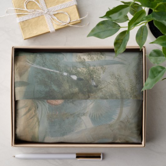 サミュエル・ダニエルによるセイロンの風景 薄葉紙 (ギフト)