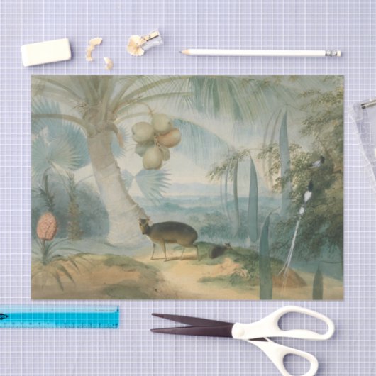 サミュエル・ダニエルによるセイロンの風景 薄葉紙 (クラフト)