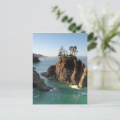 サミュエル・ボードマン州パーク、ブルックリング、 ポストカード (スタンド正面)