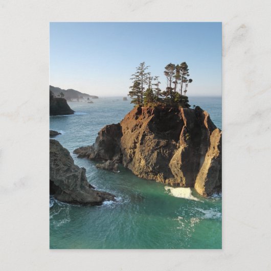 サミュエル・ボードマン州パーク、ブルックリング、 ポストカード (正面)