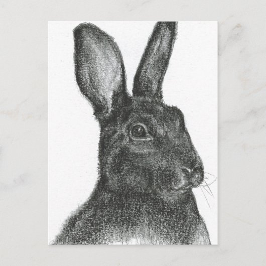 サミュエルLジャクソン ポストカード (正面)