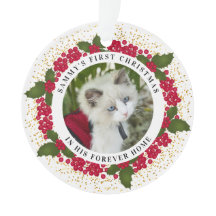 サミーが初めてとる永遠のクリスマス猫写真オーナメント