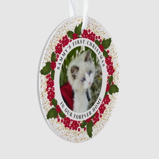 サミーが初めて自宅に帰るクリスマスの猫写真 オーナメント (正面)