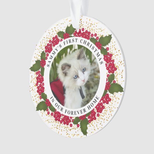 サミーが初めて自宅に帰るクリスマスの猫写真 オーナメント (正面)