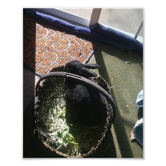 サミーI フォトプリント            (正面)