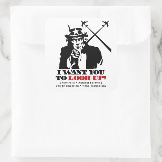 サムおじさんは私はあなたに見上げてほしいと言う スクエアシール (バッグ)