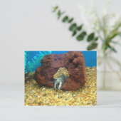 サムザブルーロブスター ポストカード (スタンド正面)