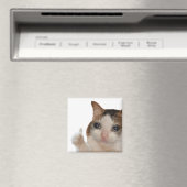 サムズアップOK猫ミームマグネット マグネット (インサイチュ (食洗機))