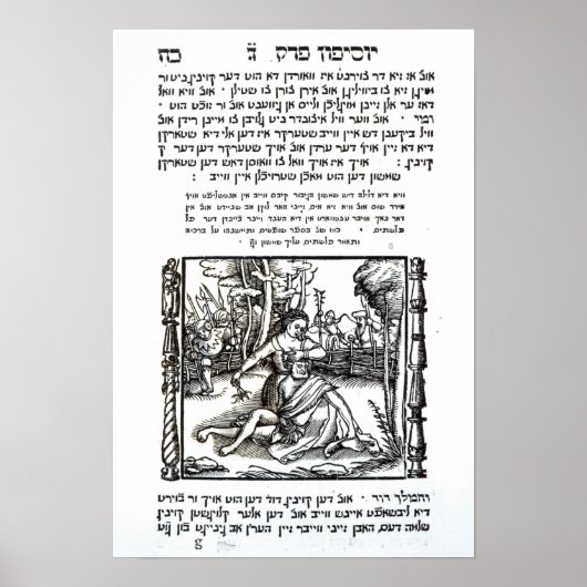 サムソンとデリラ ポスター (正面)