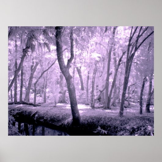 サムライフォレスト ポスター (正面)