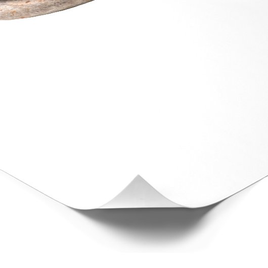 サムライ ポスター (コーナー)