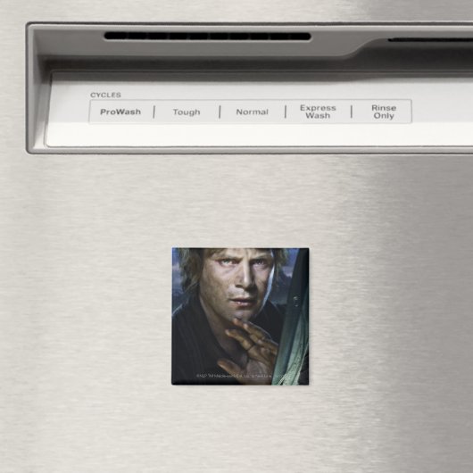 サムワイズ マグネット (インサイチュ (食洗機))