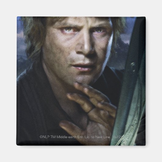 サムワイズ マグネット (正面)