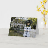 サム・ヒューストン・パーク、ケルムノーブル・ホーム カード (黄色い花)