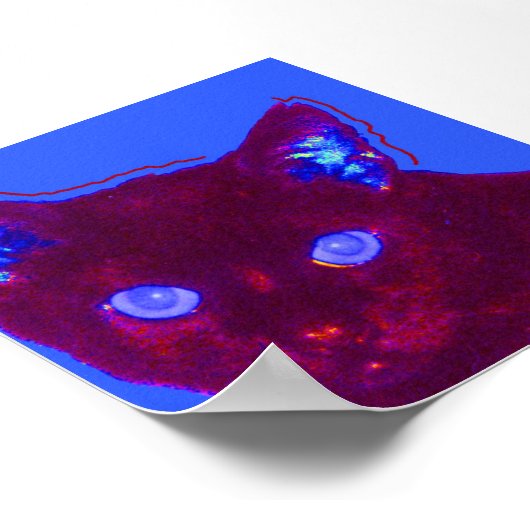 サム ポスター (角)