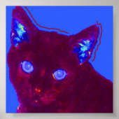 サム ポスター (正面)