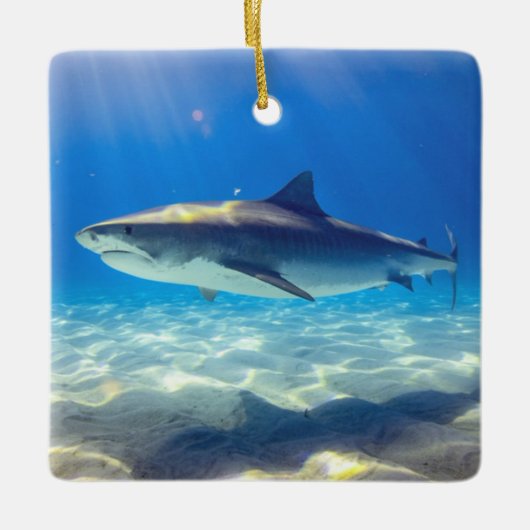 サメが泳ぐ青い海水 セラミックオーナメント (正面)