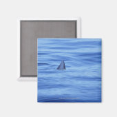 サメが海で泳ぐ マグネット (正面/裏面)