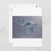 サメが湾に ポストカード (正面/裏面)