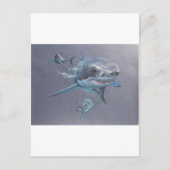 サメが湾に ポストカード (正面)