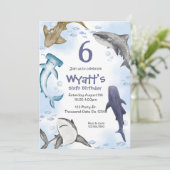 サメだ！ 招待状 (スタンド正面)