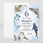 サメだ！ 招待状 (正面/裏面)