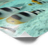 サメと魚、ボラボラグーン垂直プリント フォトプリント            (角)