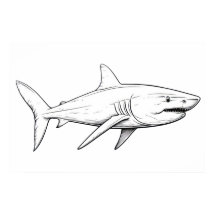 サメのスケッチ