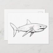 サメのスケッチ ポストカード (正面/裏面)