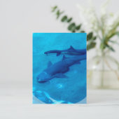 サメのペアのポストカード ポストカード (スタンド正面)