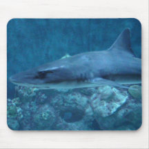 サメのマウスパッドの写真