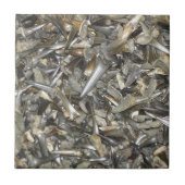 サメの化石の歯型 タイル (正面)