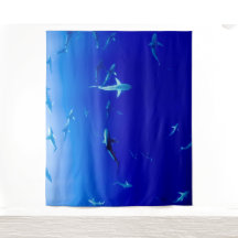 サメの学校 フォトバックドロップ