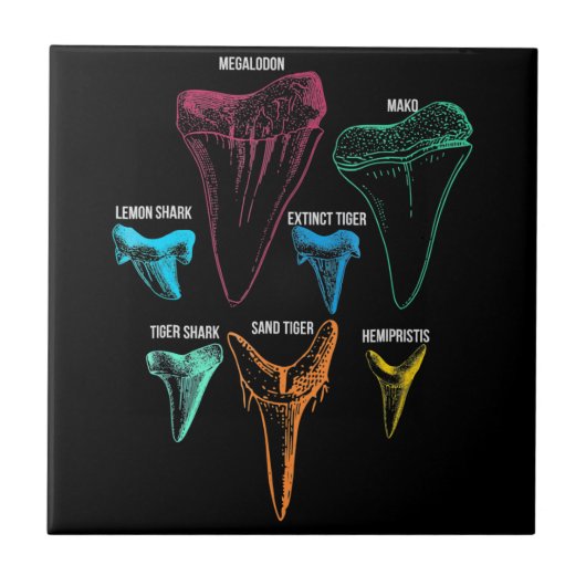 サメの歯の狩り-サメの贈熱狂するり物 タイル (正面)