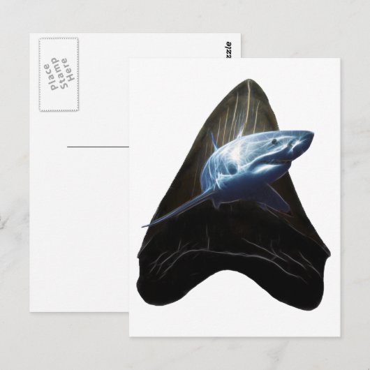 サメの歯 ポストカード (正面/裏面)