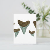 サメの歯 ポストカード (スタンド正面)