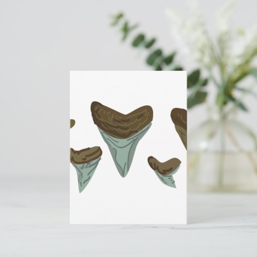 サメの歯 ポストカード (スタンド正面)