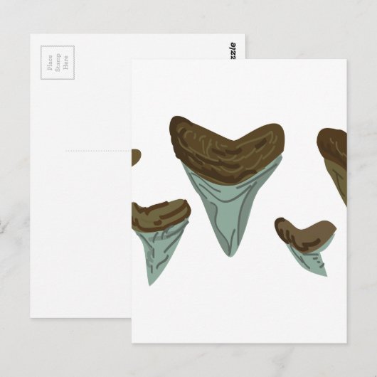 サメの歯 ポストカード (正面/裏面)