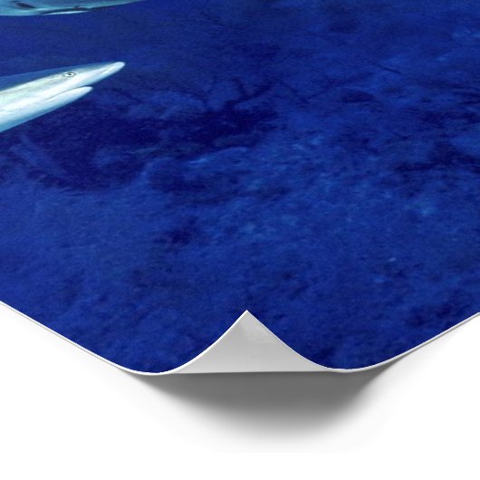 サメの深い ポスター (角)