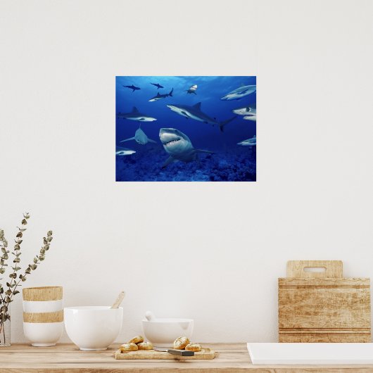 サメの深い ポスター (キッチン)