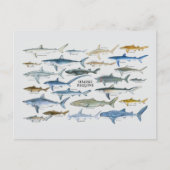 サメの種類のグラフ シーズンポストカード (正面)