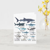 サメの種類サメ種同定海 カード (黄色い花)